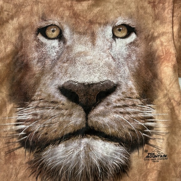 The Mountain kids Tshirt size small. - Picture 3 of 6